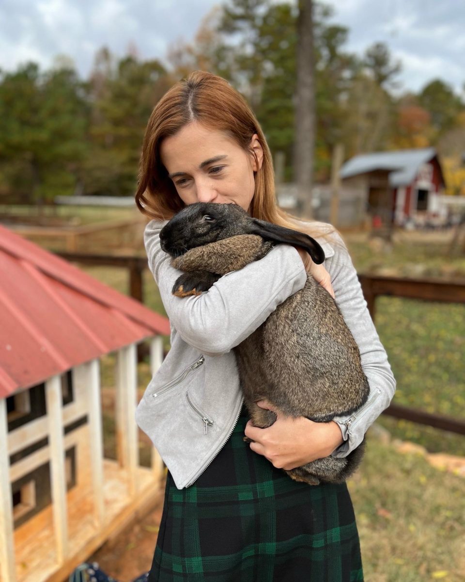 Best Cages for Flemish Giant Rabbits (Indoor and Outdoor)