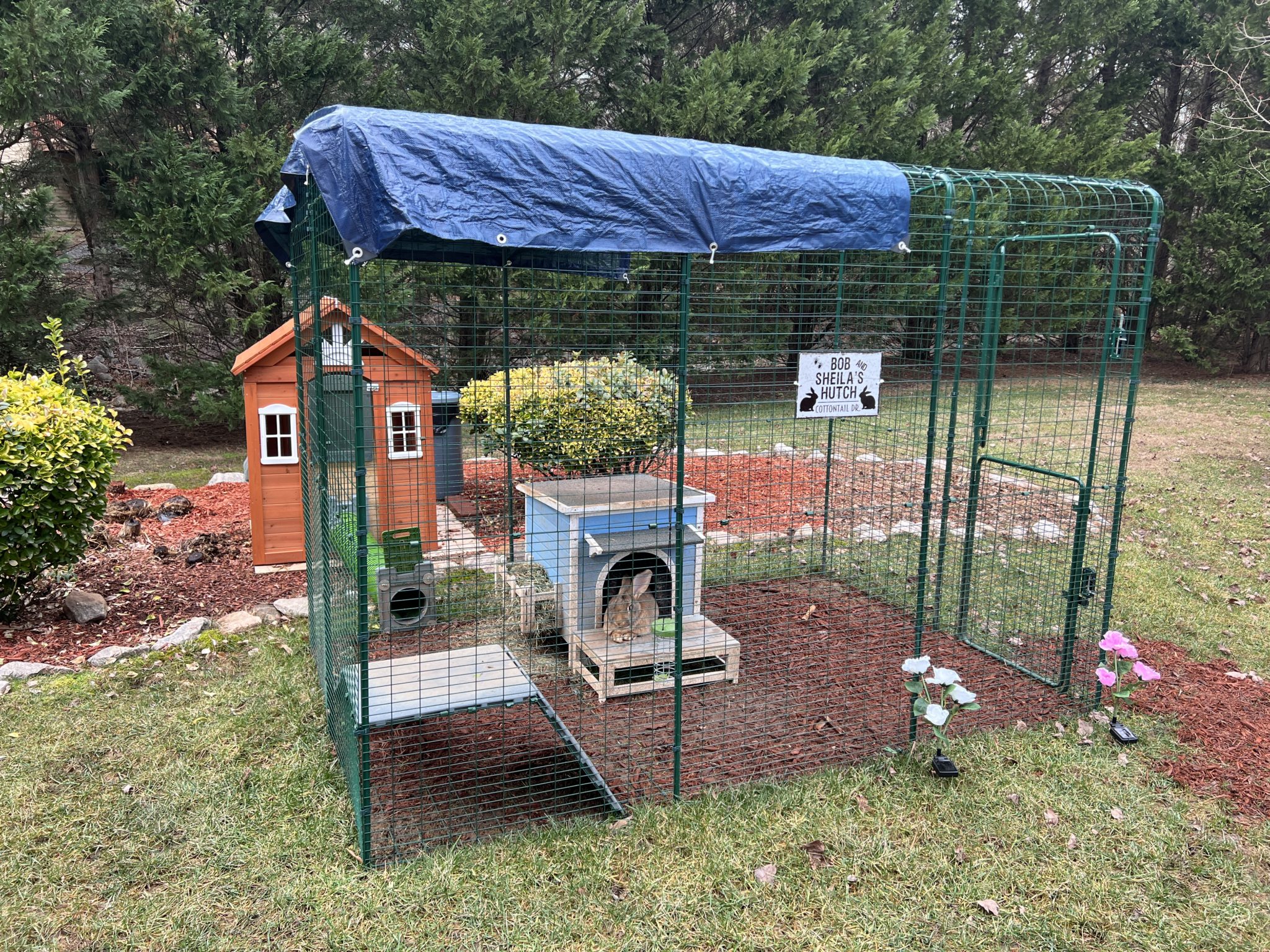 ground surfaces for backyard